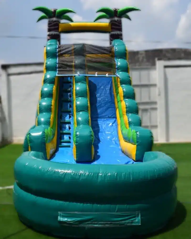 2 Palm Oasis Water Slide