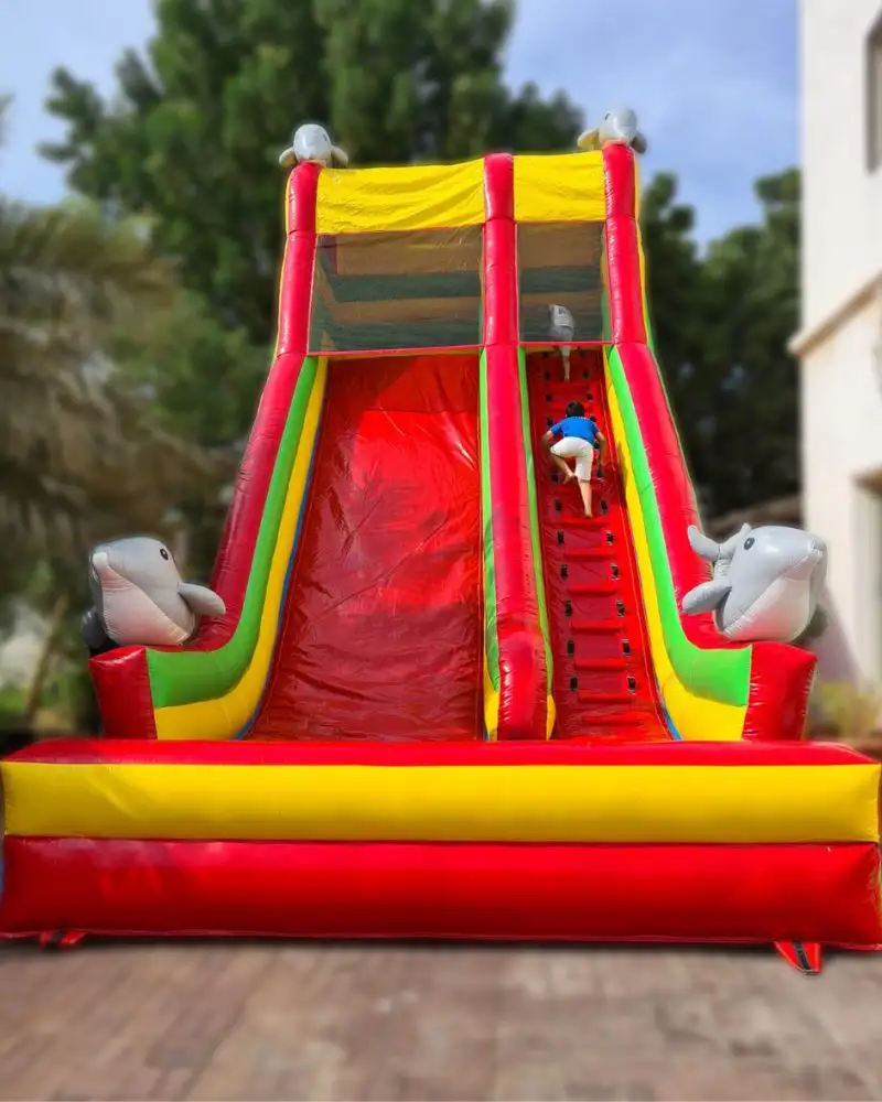 Dolphin-Theme-Large-Slide-in-Dubai