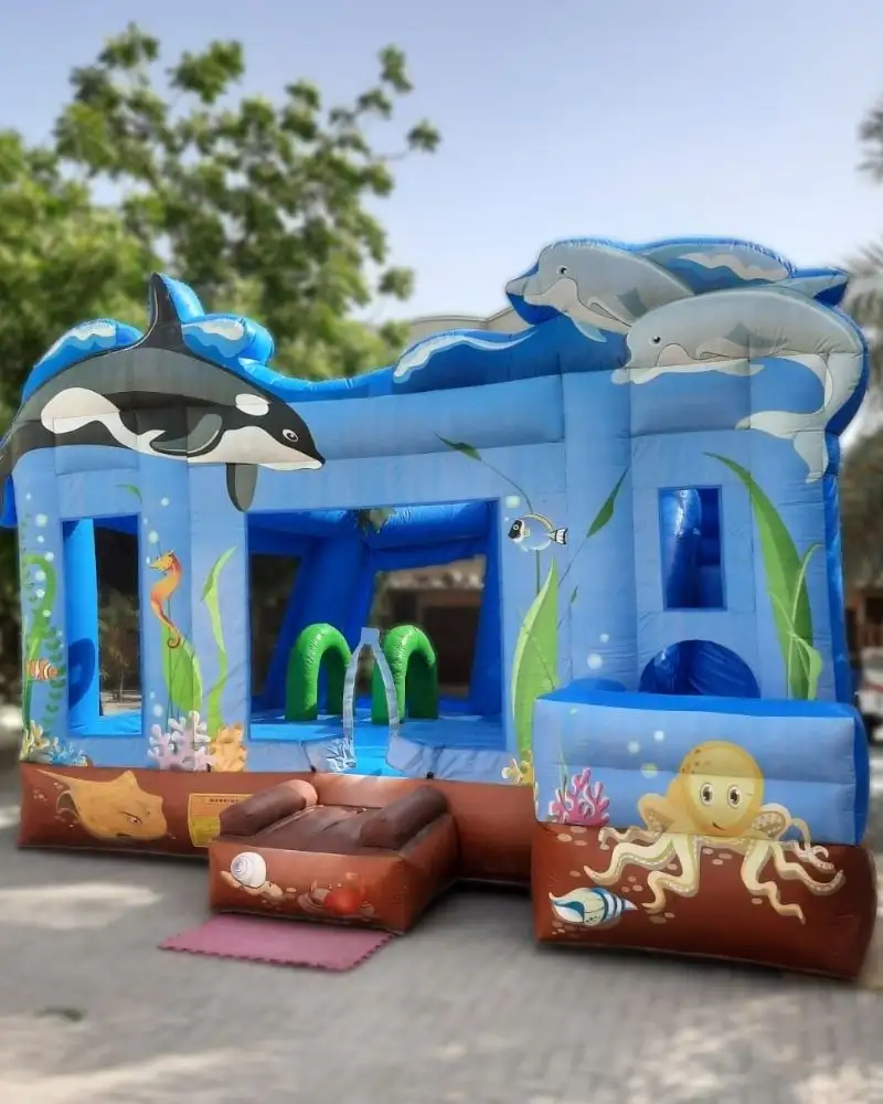 Dolphins-Inflatable-Bouncy