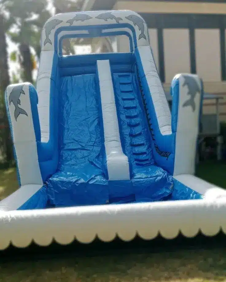 Dolphins-big-water-slide-for-rent-in-Dubai