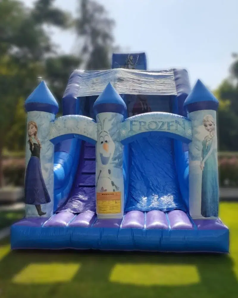 Frozen-Large-Slide-for-Girls