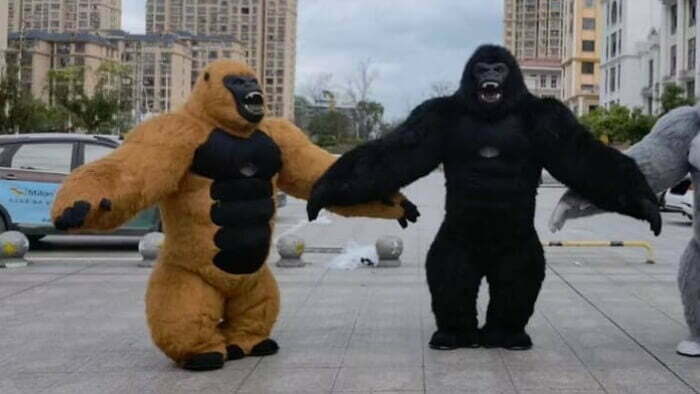 Gorilla-mascots-for-rent-ABUDHABI-UAE