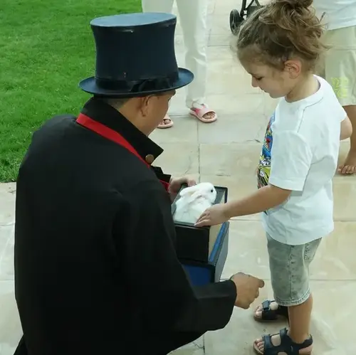 Magician discovered a Rabbit in a Magic Show at kid's birthday party.