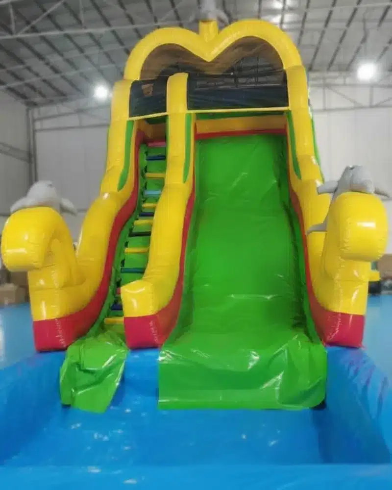 dolphins-water-slide