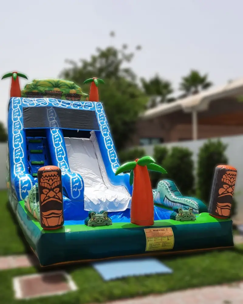 oasis-tree-water-slide
