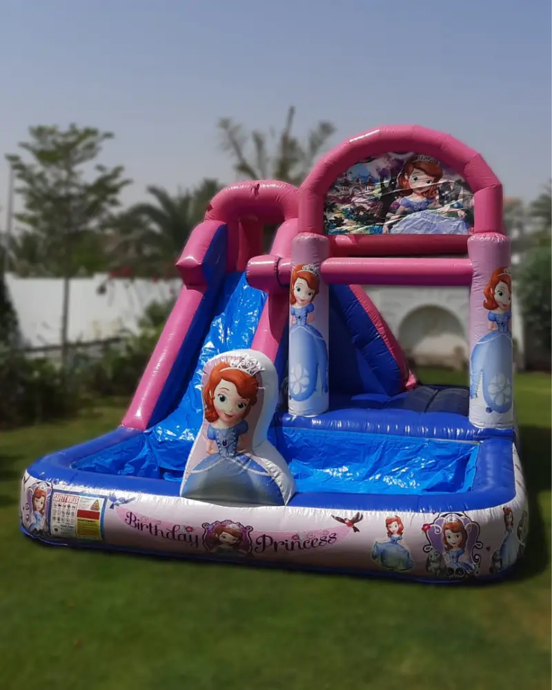 princess-theme-slide-and-pool